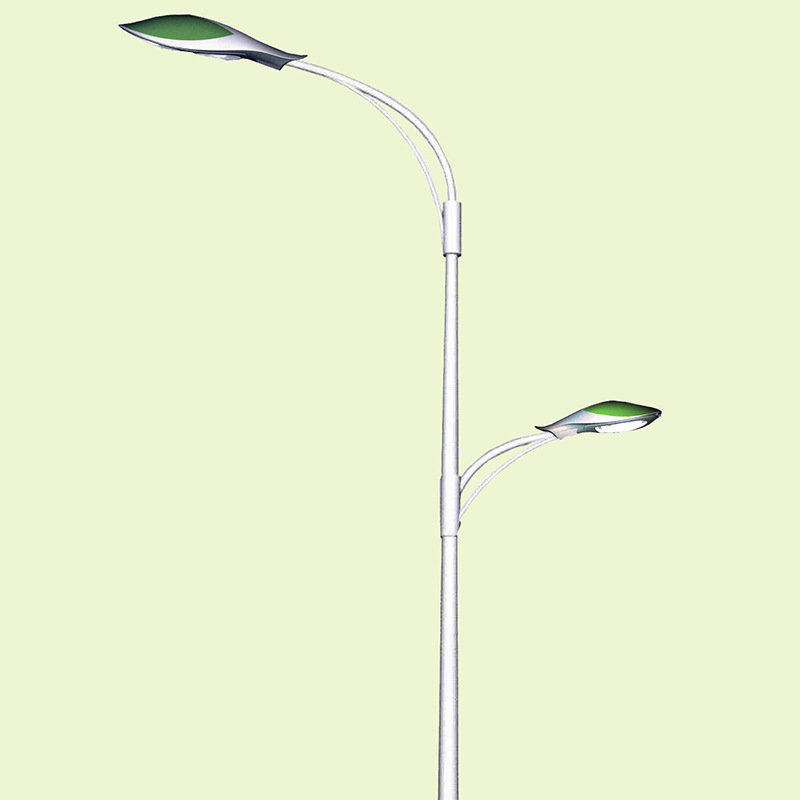 LED išorės integruota gatvės žibinta, aukštojo polio gatvės žibinta sodo bendruomenėje