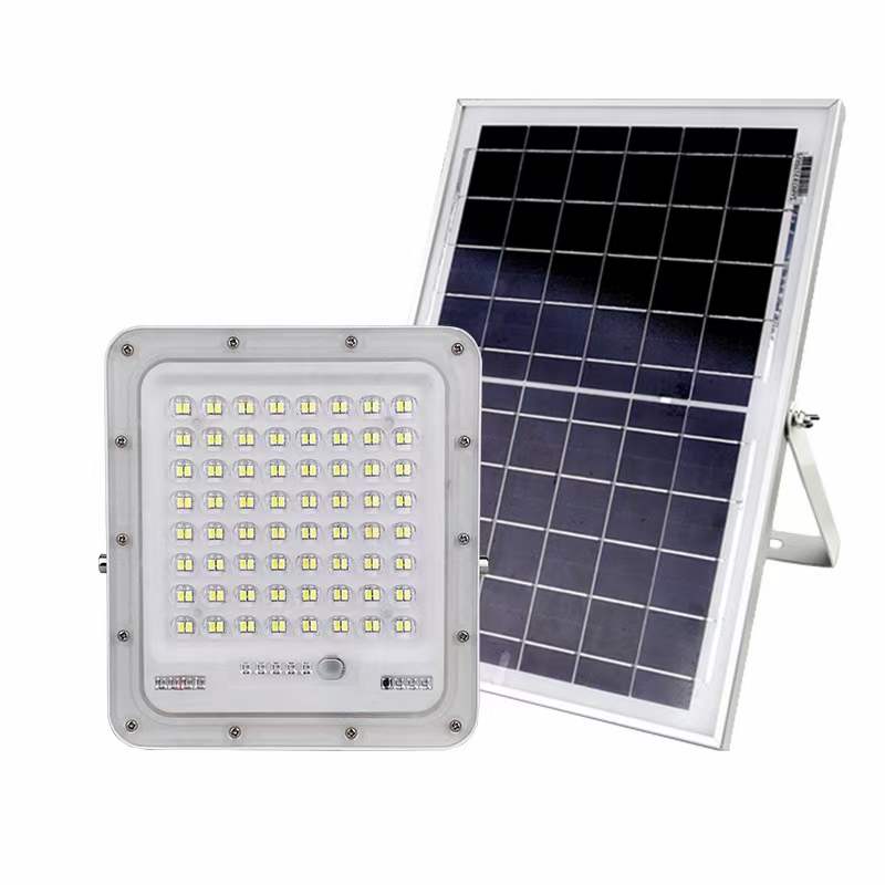 Outdoor courtyard street lamp, led floodlight rural lighting