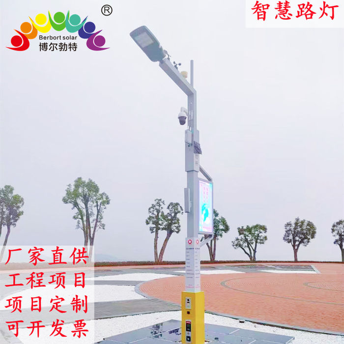 Integrated smart street lamp in bolbot City Park multifunctional smart lamp pole scenery complementary smart street lamp