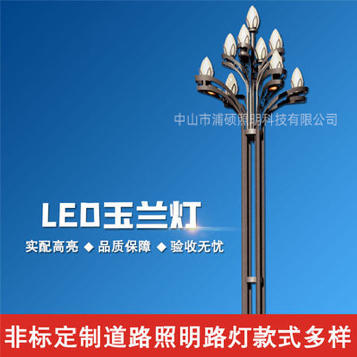 Magnolia lamp outdoor municipal road large characteristic landscape lamp Square Park community led China street lamp