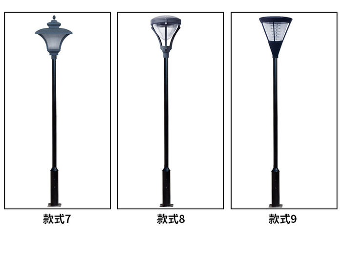 Courtyard lamp outdoor waterproof 2.5m 3M landscape lamp community park scenic spot high pole lighting LED road lamp