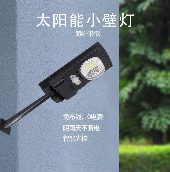 Solar energy path lamp outdoor IP65 outdoor rainproof and lightning protection new rural Huimin courtyard wall lamp with pole integration