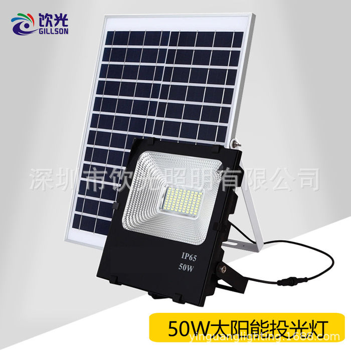 LED solar projection lamp outdoor courtyard street lamp Integration Rural square lamp 50w100w garden street lamp