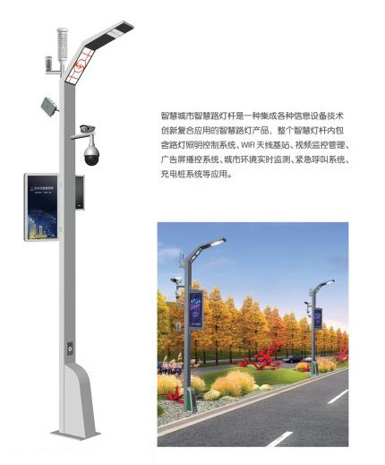 Integrated intelligent road lamp pole intelligent monitoring pole