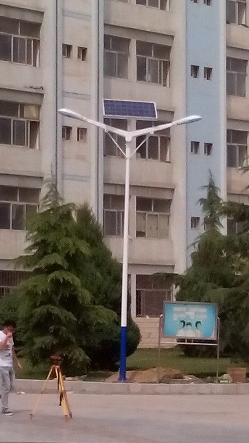 Campus street lamp, LED street lamp lighting manufacturer