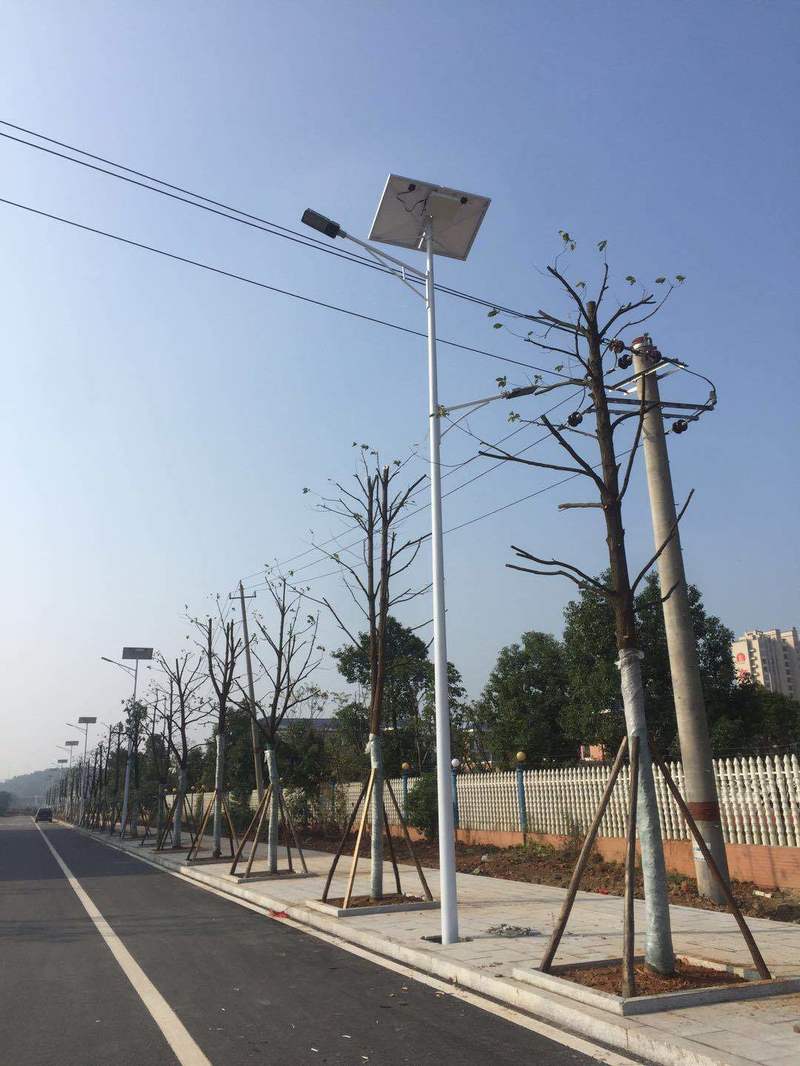 Changsha, Hunan Ningxiang Shahe piac és Shahe középiskolai napelemes utcai lámpa