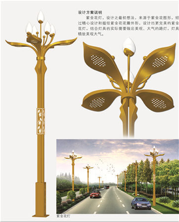 Lampu Magnolia, lampu Cina luar, panjang persegi dan pencahayaan jalan