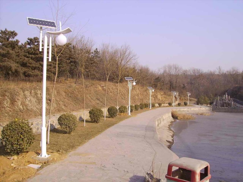 Проектот за соларно осветлување во паркот, предводена лампа на дворот