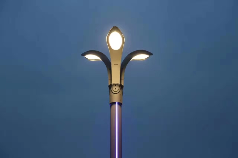 Сем голов і дев-ять голов Магнолія Китайська лампа з високим полем LED